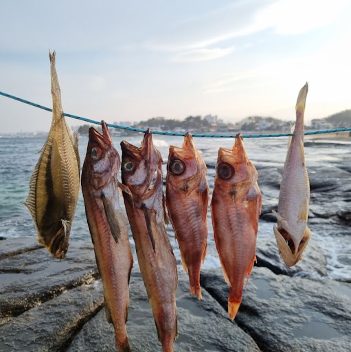 반건조생선의 진수, 속초사이버장터의 말린 제수용